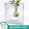 晶华太阳纹超白空心(白空心)玻璃砖隔断墙大块，透明水晶方形透光吧台卫生间