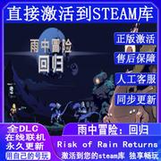 Steam正版 雨中冒险：回归 在线联机国区全球区激活入库全DLC中文