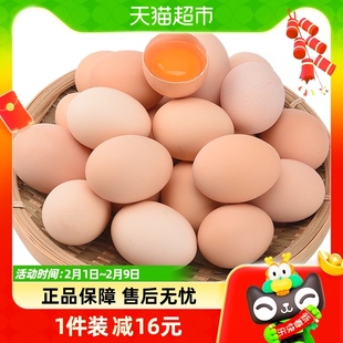 晨诚新鲜土鸡蛋正宗农家散养柴鸡蛋，自养笨鸡蛋，45g*50枚谷物草鸡蛋