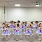 六一儿童演出服幼儿园女童，蓬蓬裙表演服紫色舞台，舞蹈服可爱公主裙