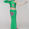 红是红啊绿是绿舞蹈表演服饰民族舞蹈傣族孔雀舞蹈演出服