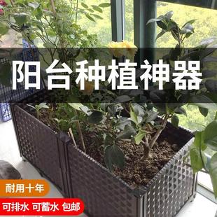 草莓盆栽专用盆室外花箱种植盆长条长方型种草莓的花盆阳台种植箱