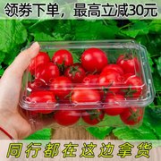 一次性水果盒透明带盖一斤装圣女果，包装盒500克网红塑料打包盒子