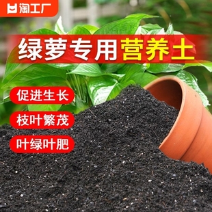 绿萝专用营养土家用盆栽花卉土，绿植水培营养液，花肥有机种植泥土壤