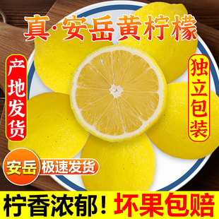 柠檬新鲜水果当季新鲜整箱一乡一味安岳柠檬单包装(单包装)9斤黄柠檬(黄柠檬)泡水
