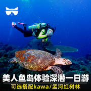 懒猫旅行 美人鱼岛体验深潜一日游 沙巴红树林kawa亚庇旅游萤火虫