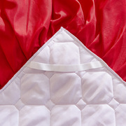 欧式水晶绒夹棉加厚蕾丝床裙单件保暖防滑大红床罩高端床套被套