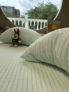 韩系奶油蓝条纹床笠床单单件保护套1.35m1.8米纯棉宿舍床罩少女心