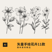 矢量图手绘花卉黑白线稿玫瑰花朵，植物素描图案，插画ai平面设计素材