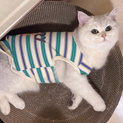 猫咪衣服薄款夏季透气背心，卡通小熊条纹无袖，两脚衣居家小奶猫睡衣