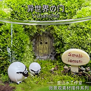 苔藓微景观摆件生态瓶造景小房子创意小人diy素材幼儿园植物观察