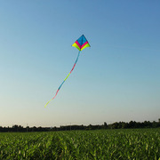 追风者冲天追风筝成人大型高档伞布碳杆风筝带尾大风放飞稳定