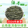 云南普洱茶绿茶自己喝自饮2024年新茶大叶浓香型滇绿特产散装茶叶