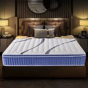 天然乳胶床垫九区独立弹簧静音双面可拆洗家具卧室床垫