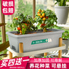 长方形花盆家用阳种菜神器蔬菜种植箱长条塑料花盆草莓专用盆楼顶
