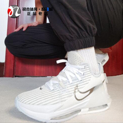 耐克Nike LEBRON詹姆斯男子轻便实战篮球鞋DC8994-102