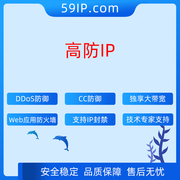 国内高防IP 600G100M DDoS防御CC防御电信/BGP多线