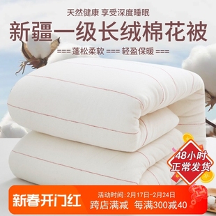 新疆一级长绒棉被纯棉花被子棉絮床垫被褥子秋冬被芯加厚保暖冬季