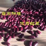 云南昭通大红豆红腰豆红芸豆紫豆农家自产豆红豆汤500g