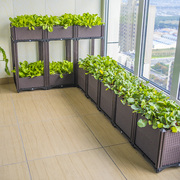 阳台种菜神器家庭蔬菜种植箱室内塑料省空间花盆户外楼顶种菜盆