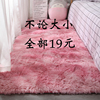 地毯卧室床边毯厚可睡可坐少女客厅毛绒毯地垫家用坐垫房间垫子小
