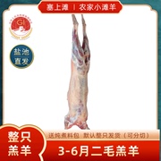 塞上滩宁夏盐池滩羊羔羊，整只生鲜羊肉，冷冻现宰烧烤食材烤全羊年货