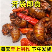 山东特产炸金蝉知了猴熟食新鲜蝉蛹油炸知了猴即食100只香辣爬叉