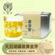 六雨新茶2024天目湖黄金，芽特级罐装茶叶，溧阳特产嫩芽炒青绿茶50g