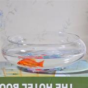 透明玻璃器皿花瓶水仙水培盆铜钱，草碗莲水培，花盆水培植物花瓶鱼缸