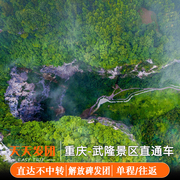 重庆旅游景区，武隆直通车单程往返车票，天生三桥天坑地缝仙女山纯玩