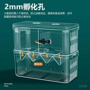 鱼缸隔离盒孔雀鱼孵化器小鱼幼鱼保护母鱼产房繁殖盒孵化盒分隔器