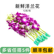 新鲜洋兰花束 紫色石斛兰酒店西餐蛋糕烘焙摆盘装饰点缀花朵12支