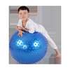 幼儿园感统训练器材大龙球儿童，早教健身球，家用瑜伽球按摩球触觉球