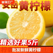 全网奶茶店专用新鲜黄(新鲜黄)柠檬，安岳柠檬5斤整箱