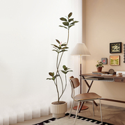 森空间高端黑金刚橡皮树，仿真绿植落地大盆栽室内客厅，装饰植物摆件