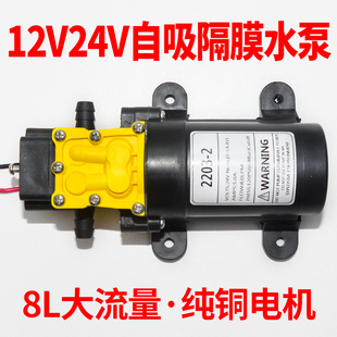 迷你小号小型微型直流，隔膜水泵12v24v电动喷雾器，高压抽水泵自吸泵