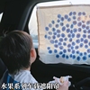婴儿汽车车窗遮阳帘板儿童卡通吸盘式车窗车用吸盘式伸缩隔热挡光
