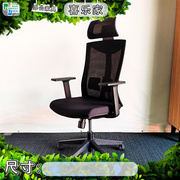 百利办公椅人体工学椅电脑椅升降椅头枕椅，会议椅职员椅网背椅子