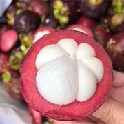 山竹新鲜水果沈阳发5斤装泰国进口孕妇水果