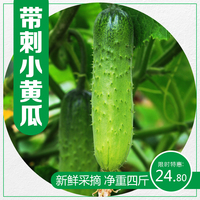 自种新鲜带刺小绿黄瓜4.5斤装16-20根左右山东旱黄瓜水果小黄瓜