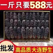 9年大连深海野生淡干海参海参，干货500g深海，辽刺参海参礼盒邮