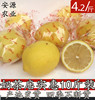 安源农业10斤装安岳黄柠檬新鲜水果二三级黄柠檬皮薄多汁