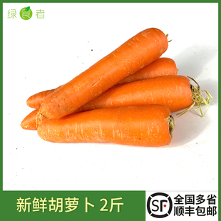 新鲜大胡萝卜2斤 时令蔬菜红萝卜生吃甜脆炒菜配料食材