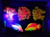 纯手绘丙烯海缸装饰海水鱼珊瑚，荧光画可定制多种尺寸多款可选
