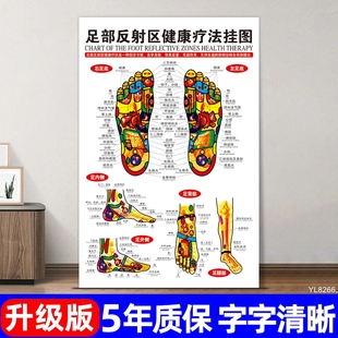 足疗足底按摩穴位图，足部反射区挂图脚底经络，图片中医养生宣传海报