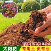 太阳花苗专用土养花通用型土壤种植土椰砖家用花泥花盆松土培养土