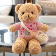 可爱穿衣小熊公仔玩偶熊毛绒(熊，毛绒)玩具泰迪熊，小号礼盒娃娃女生生日礼物