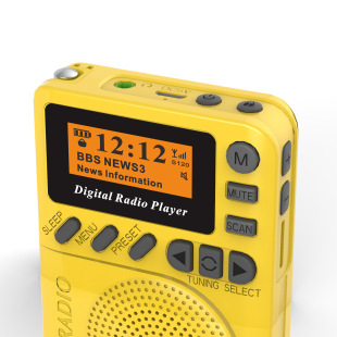 便携迷你DAB/FM多功能收音机，带读卡，内置电池，音质好