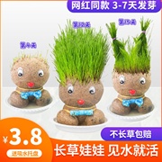 草头娃娃小盆栽浇水头上长头发儿童种植可爱植物种草娃娃长草娃娃