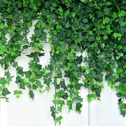 仿真爬山虎藤条装饰叶子绿植塑料，藤蔓植物树叶，假花挂墙壁管道绿叶